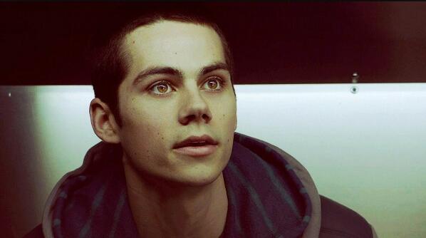 PercysTribute's tweet image. Stop being so adorable. It kills us fangirls.