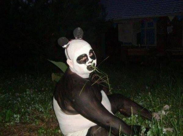 Kung-Fu Panda !