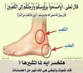 معلومة مهمة جدًا