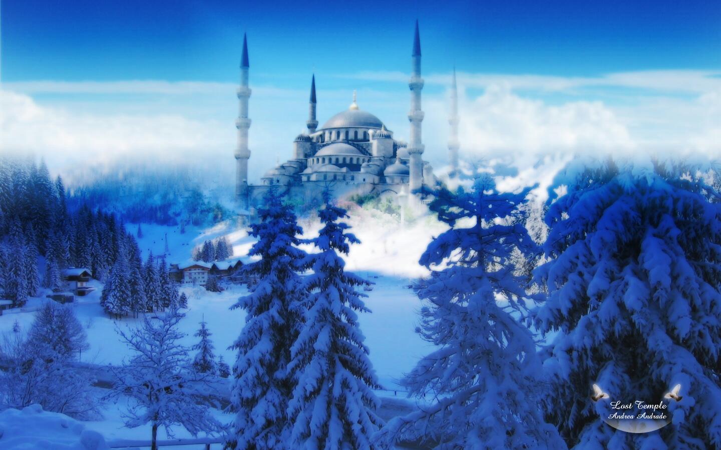 Zsolt Vendegh (@Zsocaboy) / X