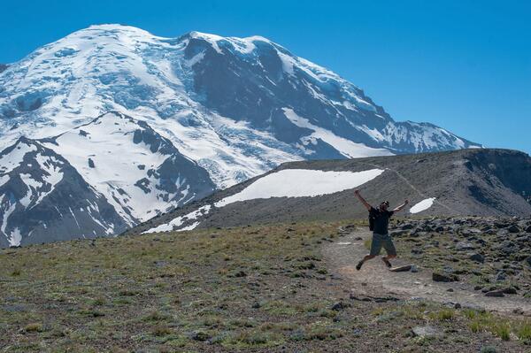 Alexander Chamas tweet media