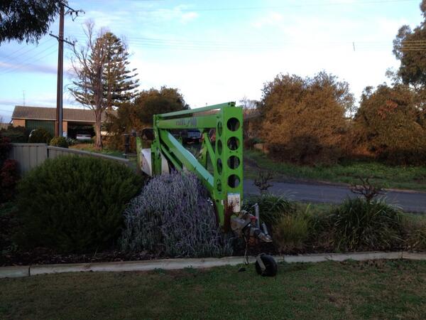 westythe1st's tweet image. Always wanted a cherry picker, just not in my garden. #GrainFlow#Cockheads