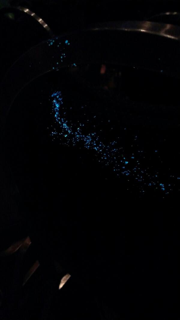 Nathanilewis's tweet photo. Oops I had a glow stick disaster down the whole row. #en2013 http://t.co/we8g0XvH2g