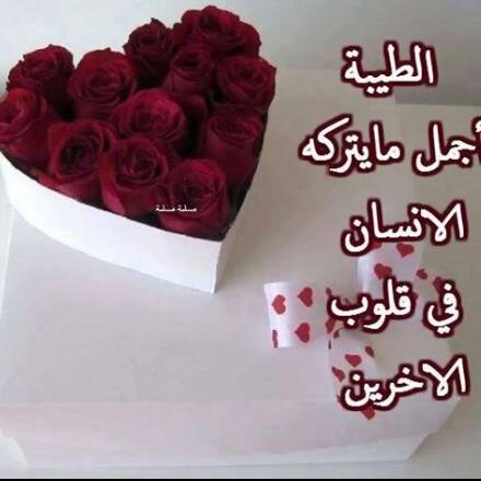 Zulfabarwani's tweet image. Oman #muscat #zulfa #
