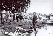 HistoryInBW's tweet photo. Old school Cod Fishing in ole Mass. #classicpics #history http://t.co/idqpoXbIJh