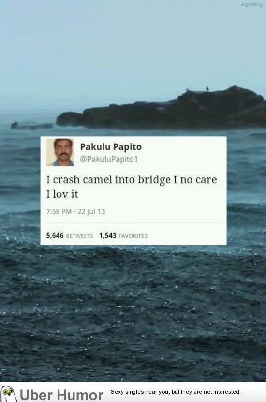 DavisNMS's tweet image. Oh Pakulu - forlolsake.com/oh-pakulu