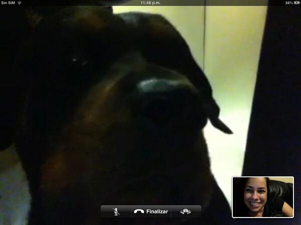 YisellLora's tweet photo. Nada como hacer FaceTime con mi amigo Bugsy jajaja @j_perez1492 http://t.co/i2OHRZgdZW