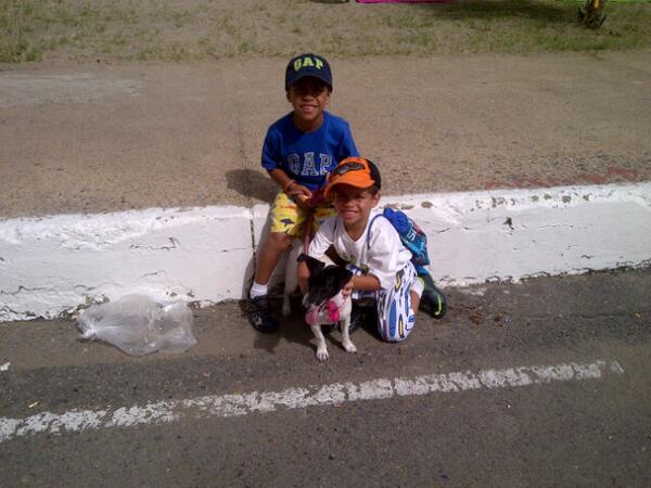 Otro participante :D #Peluditos #Activos