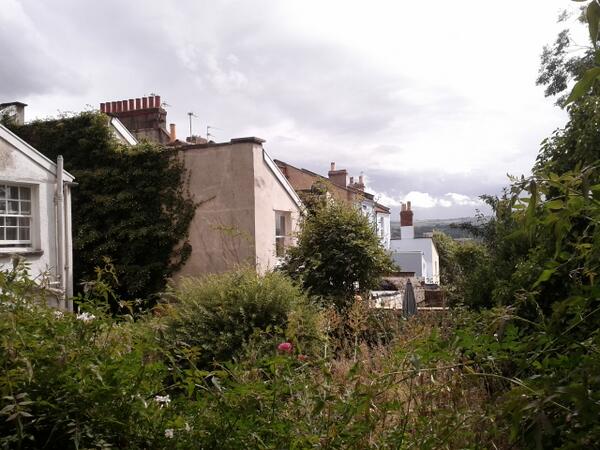 phil benachour tweet media