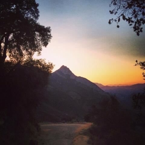 ff78ff's tweet image. 