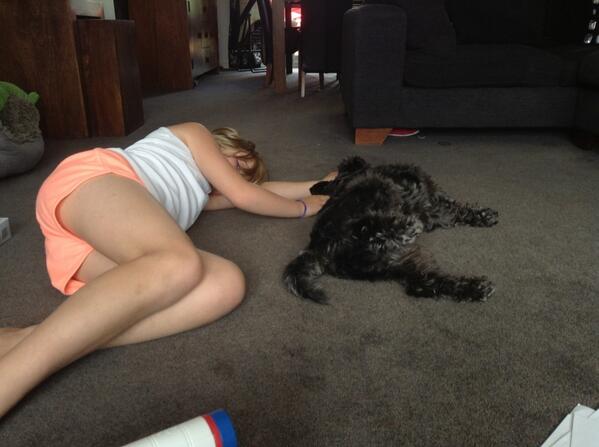 harleyJay03's tweet photo. Like sister like dog http://t.co/z8J7WaRIcn