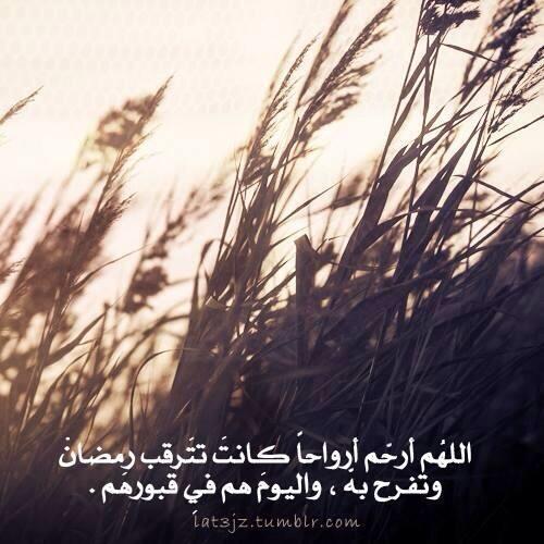 دمز دمز 1 تويتر