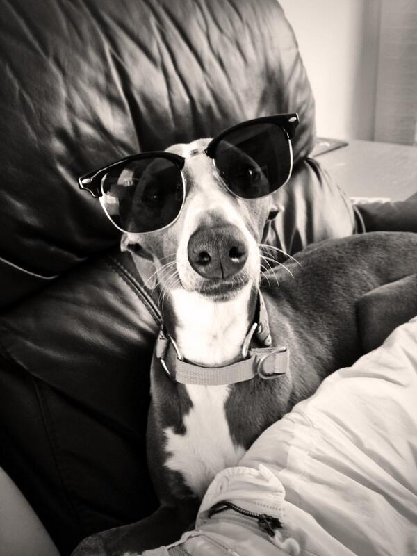 DailyDexter2's tweet photo. Ready for the sunshine http://t.co/xU8Hes81sD
