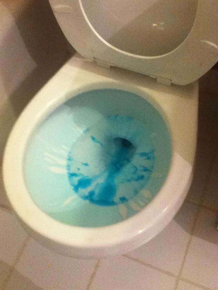 Connor Donovan on Twitter "Blue toilet water http//t.co/Sfaa10Ptji"