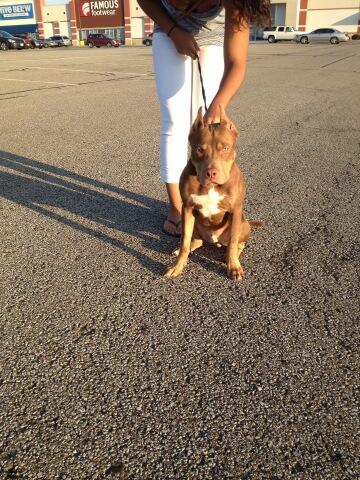 sparkman8844's tweet photo. My son juice:) http://t.co/EynsuTgCOL
