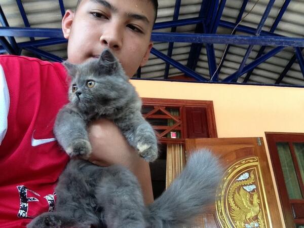 Pnetsen tweet picture