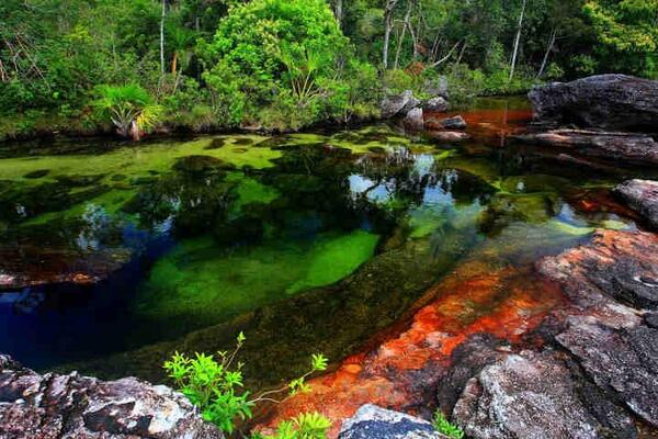 世界の旅 虹色の川 コロンビアのマカレナという町にある川 カーニョ クリスタレス マカレニア クラビゲラという植物によって鮮やかな色 が創られている 近年 一般人にも開放され泳ぐこともできるが治安上 一度に訪れられるのは4人まで まさに秘境