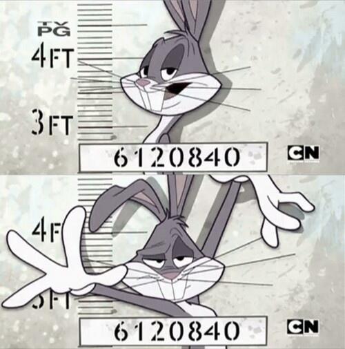 bugs_official's tweet photo. I miss prison. http://t.co/dvYLq9q6K8