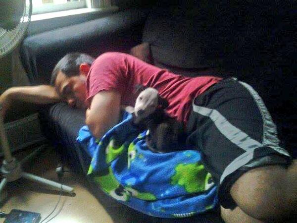 Furrnandotorres's tweet image. Didn&apos;t realized the dog was sleeping with me when I slept over my friend house. lol #SaturdayMorning