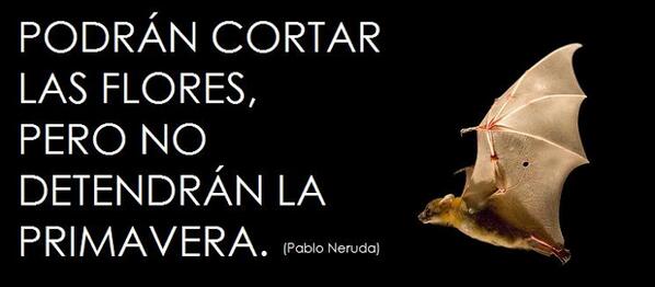 Una de las frases de Ricardo Neftalí Reyes Basoalto, Pablo Neruda, demostrando su compromiso social con el pueblo.
