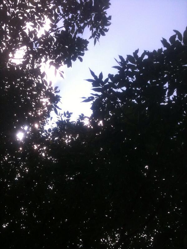 BethyHarris_'s tweet image. #earlier sitting on the hood of the car at #lcclife