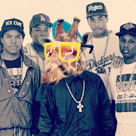 HānğŌvęrGαηg tweet media