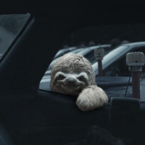 Honda's tweet image. You love the drive-in. Sloths love the drive-in. Let's #SaveTheDriveIn together @IMKristenBell indiegogo.com/projects/proje…