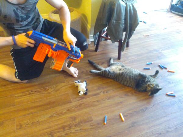 Groupnotes's tweet image. Post-rooftop @DiscoStartupCat got caught up in some @nerfnation crossfire... #StillCoding