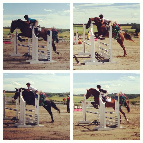 MLMeadowsInt's tweet image. Lots of #jumping going on today at #rmsj! #horseshow #showjumper