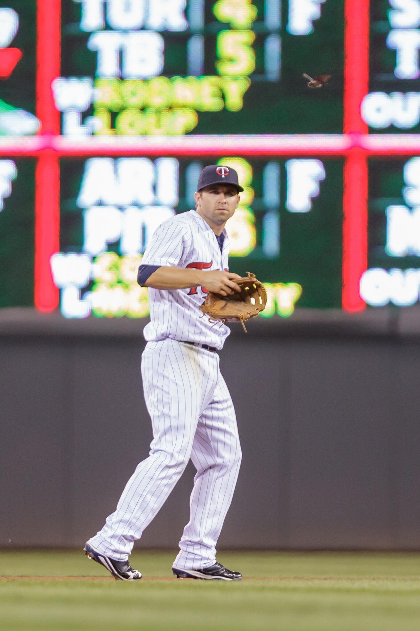 Twins infielders visited by live bat (Photo / Video)