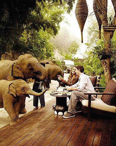 Our pick for the world's best friendly wildlife hotel. Four Seasons resort in Chiang Rai, Thailand