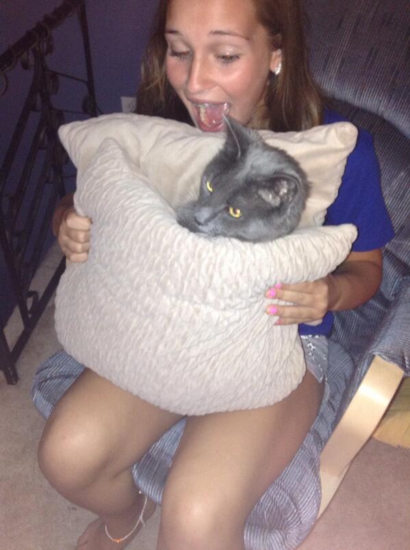 catnipaddict07's tweet image. “@j_malvarosaa: anyone hungry for a buba sandwich?? 😂😂🐱 http://t.co/i9y9jfXrRL” not funny😾