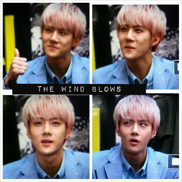 130817 여의도 팬싸인회! 오세훈!!!!! ㅠㅠㅠㅠㅠㅠㅠ