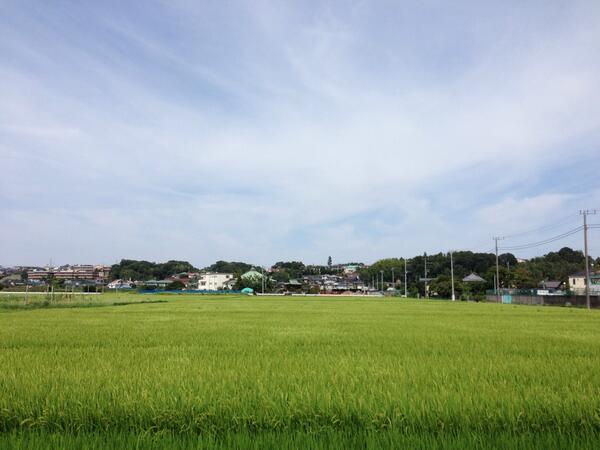 モリリン太郎(ここも横浜) tweet media