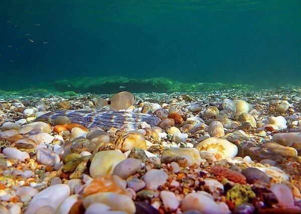 atayuslu's tweet photo. Finike'nin deniz üstü güzelliğinden ( kara güzelliğinden) sonra, deniz altı güzelliği  de tescillendi. http://t.co/TBhC9o0Iap