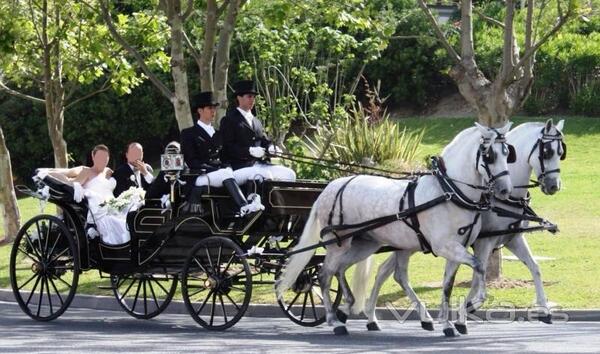 Fefii_10's tweet photo. "@NewsHorses: Una boda así http://t.co/BMiFMszE8x"
