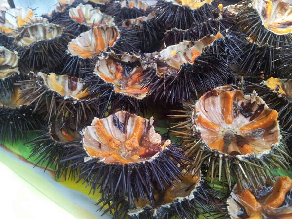 Pinucciosono's tweet image. Obama non giocava a carte ma apriva questi per mia suocera