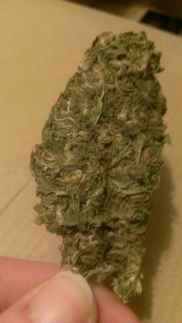 gr8butt's tweet image. #staystonedsaturday