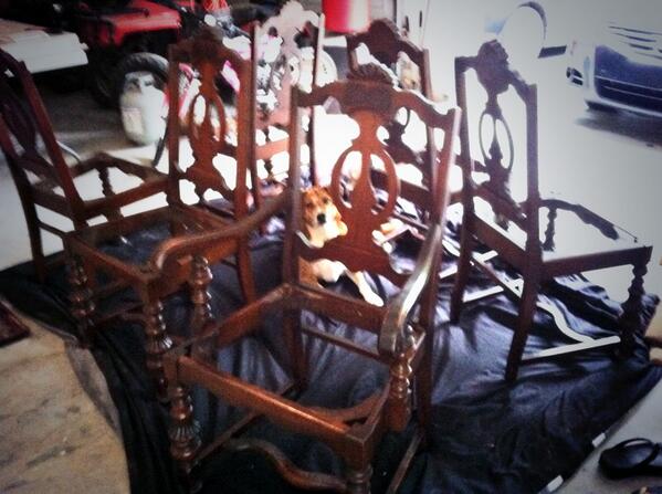 Tjones19's tweet photo. Opie antiquing ☔🐶 http://t.co/xfe0nuZLKk