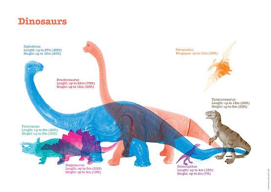 Dinosaur Sizes Comparison Chart