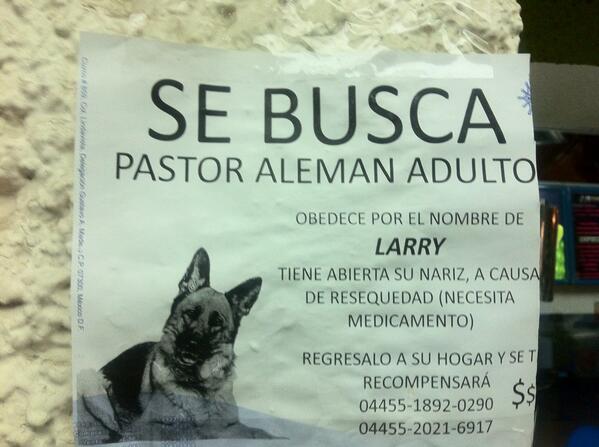 Vecinos ayuden a difundir! Gracias...