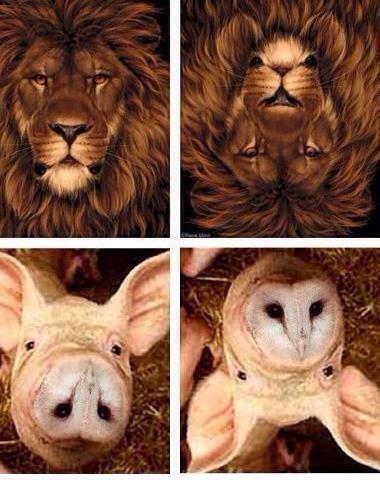 “<a href="/ThatsEarth/">ThatsEarth 🌎</a>: Wow did you ever notice this. ”not until it was photoshopped.