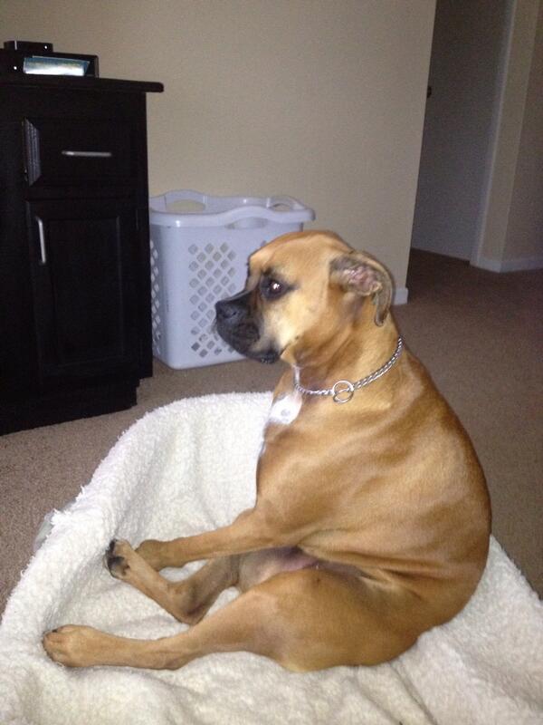 Taylor Benes tweet media