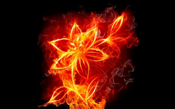 FirePrincesss's tweet image. It started from a flame🔥🌻🍁