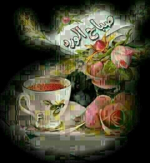 zhog_57's tweet photo. http://t.co/o3isOYyh0p