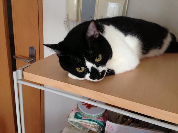 biumi's tweet photo. あつっ。。 http://t.co/w62wnw3PLh