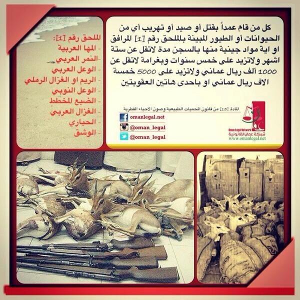 lon69ely's tweet photo. قوانين الصيد والتهريب للحيوانات والطيور ف السلطنة 😊😊 http://t.co/MFEGZrFoM1