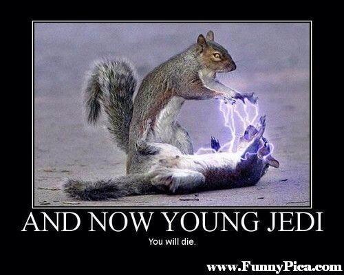 jesterhud's tweet image. #forcelightning