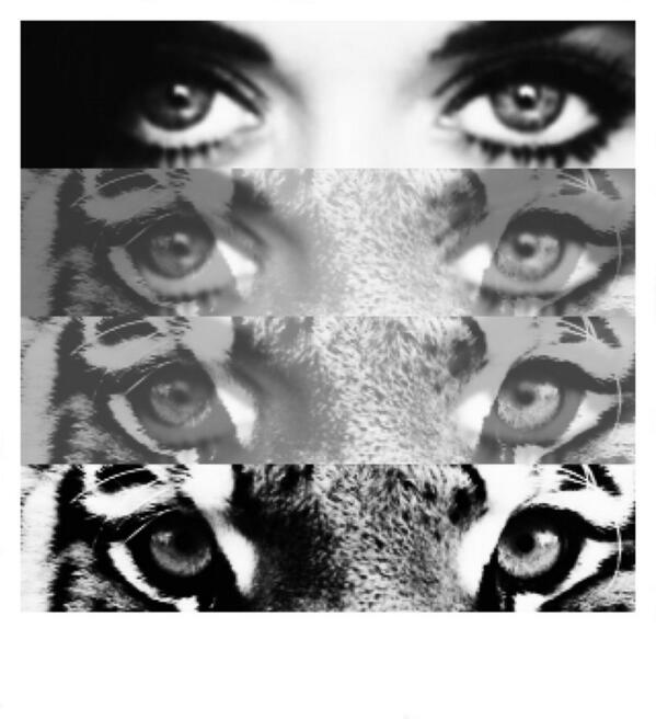 TrueKatycat99's tweet photo. @katyperry ROAR! http://t.co/RqpJNz2KbZ