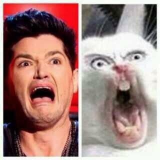 Scripette1's tweet image. #mtvhottestthescript